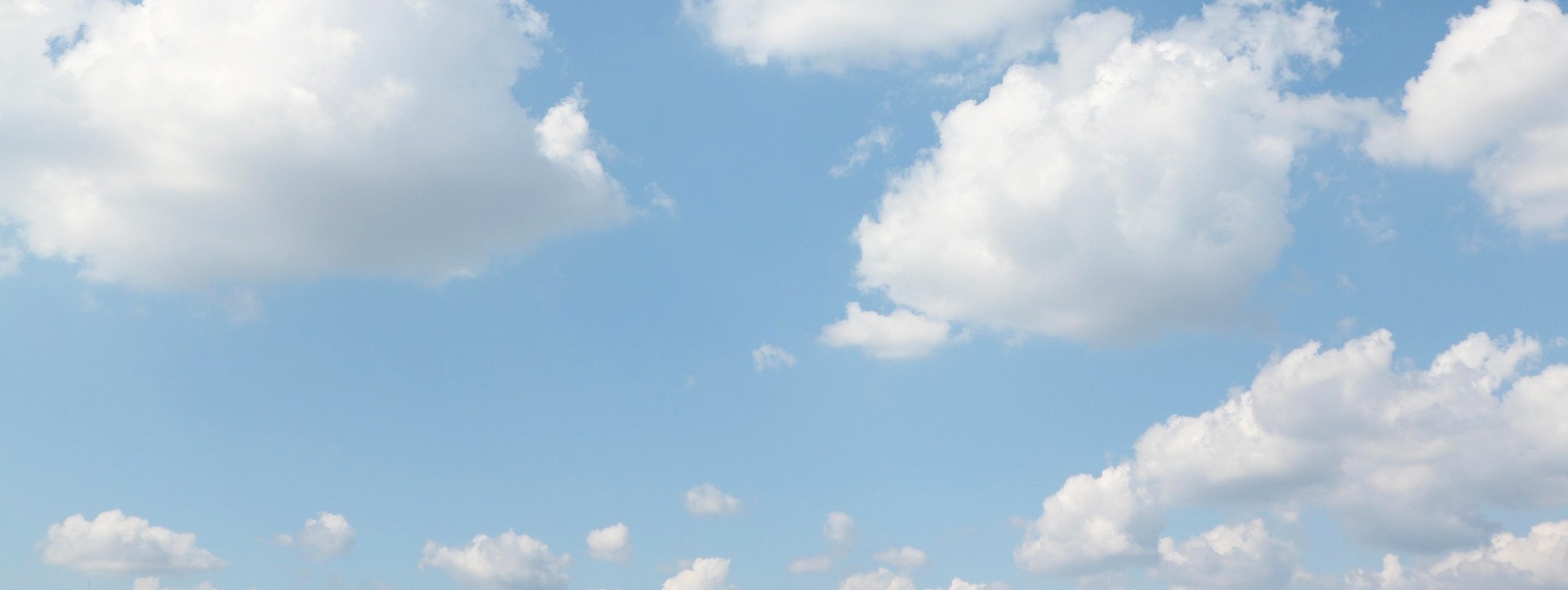 フライトマップ